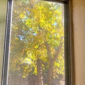 New items coming soon 🥰